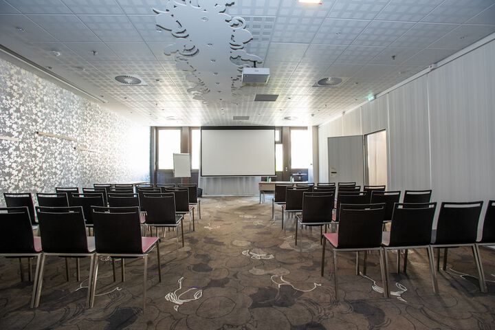 Meeting 161 of 209