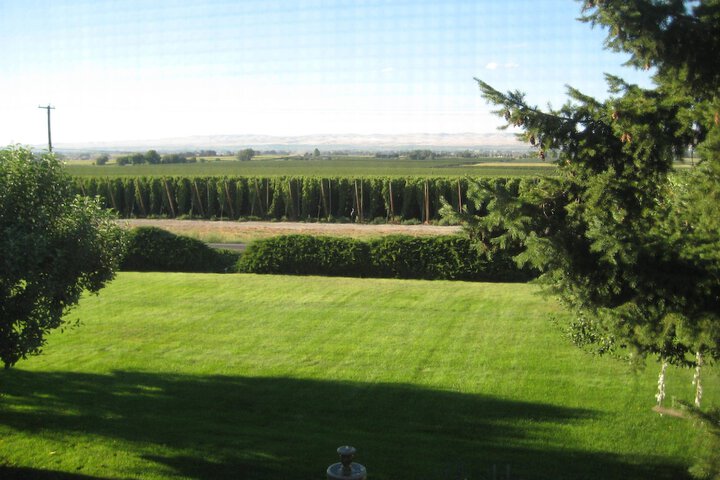 Property Grounds 15 of 35