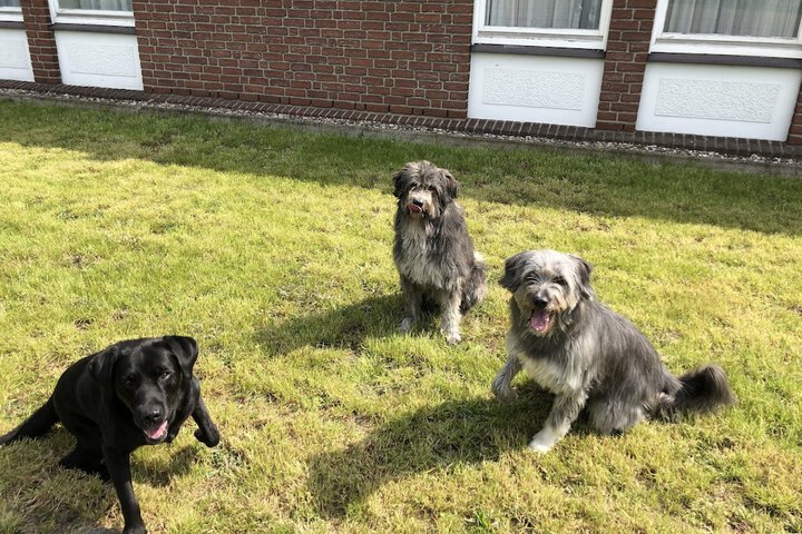Pet Friendly 18 of 46