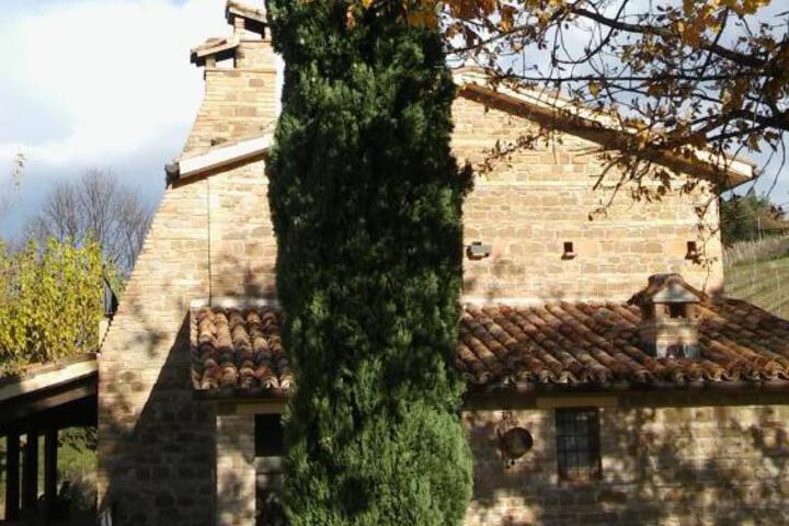 Photo 11