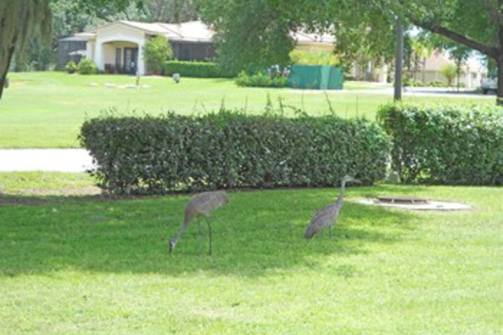 Property Grounds 30 of 45