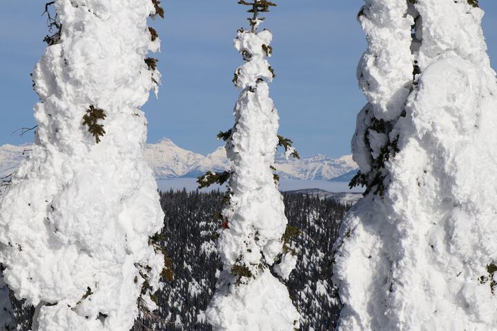 Skiing