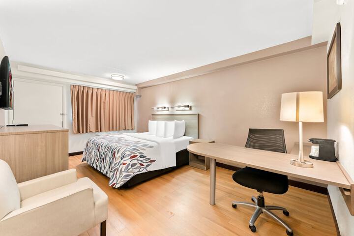 Standard | King Bed (4 of 18)