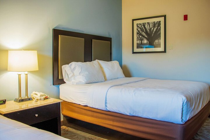 2 Queen Beds (3 of 13)