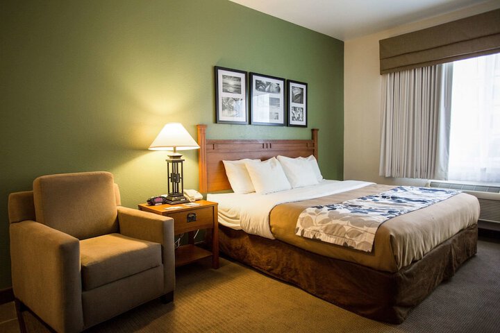 1 King Bed Suite (6 of 9)