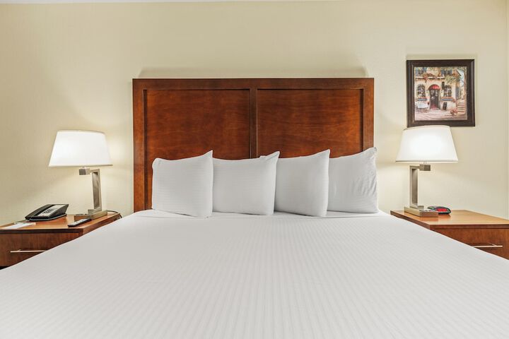 Deluxe King Bed (13 of 44)