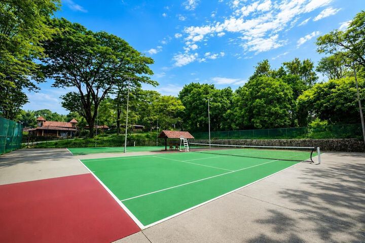 Tennis court