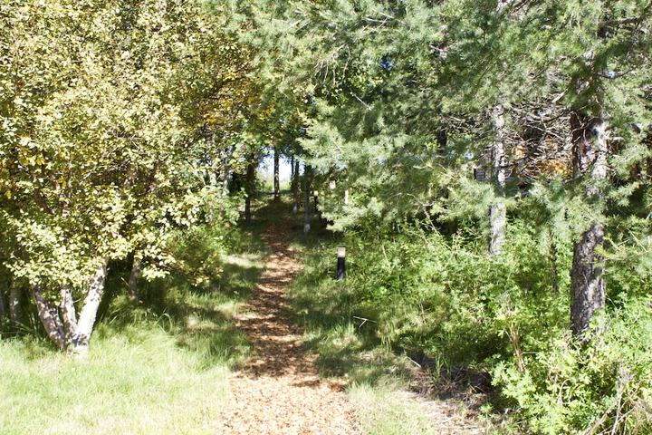 Property Grounds 39 of 57