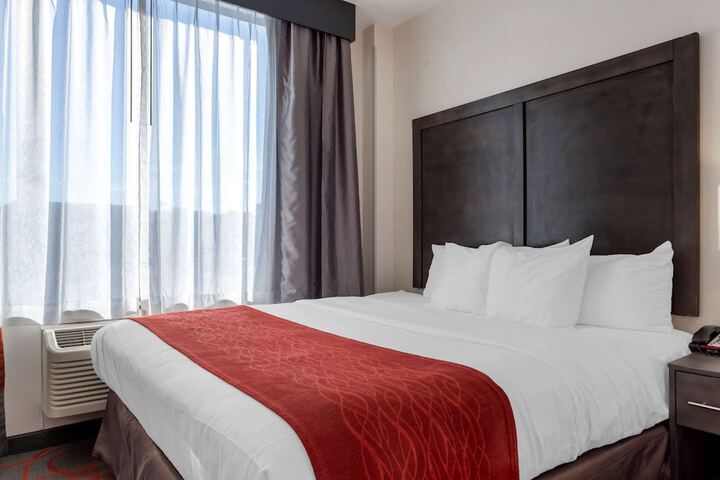 1 King Bed (17 of 23)