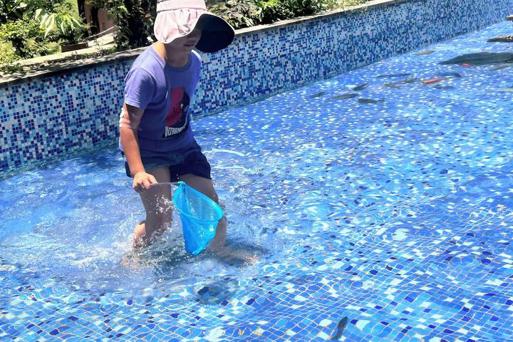 Pool 99 of 170