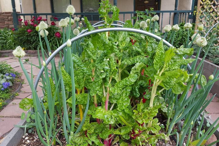 Hotel Exterior 135 of 139