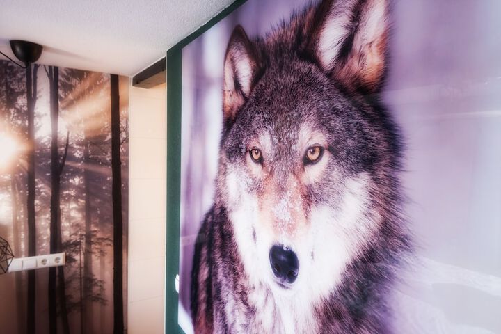 Room 6 of 38