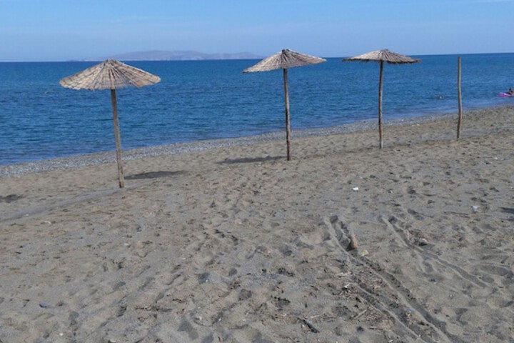 Beach 83 of 106