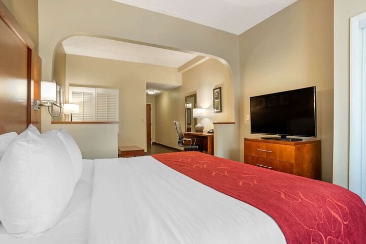 Suite King Bed Accessible (3 of 23)