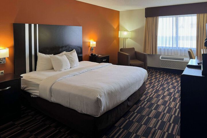 1 King Bed (4 of 8)