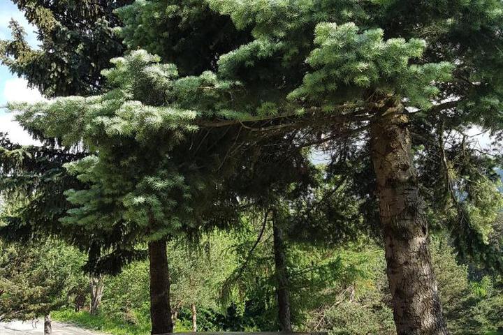 General 29 of 100
