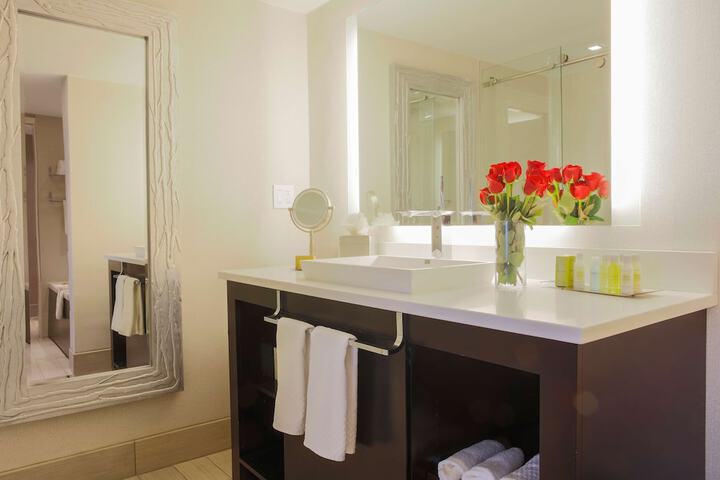 1 King Mobility Accessible with Bathtub (16 of 19)