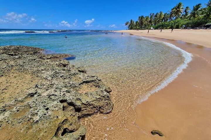 Beach 54 of 82