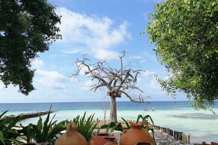 Beach 66 of 69