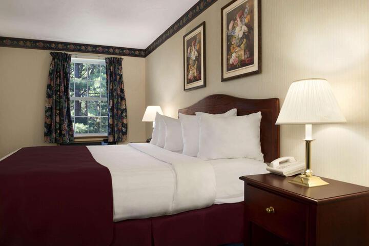 1 King Bed Pet Friendly (3 of 6)