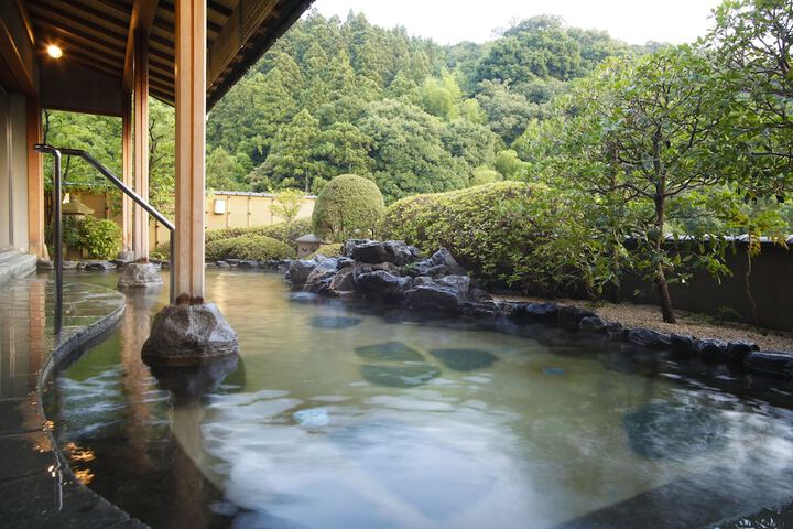Wellness Treatments