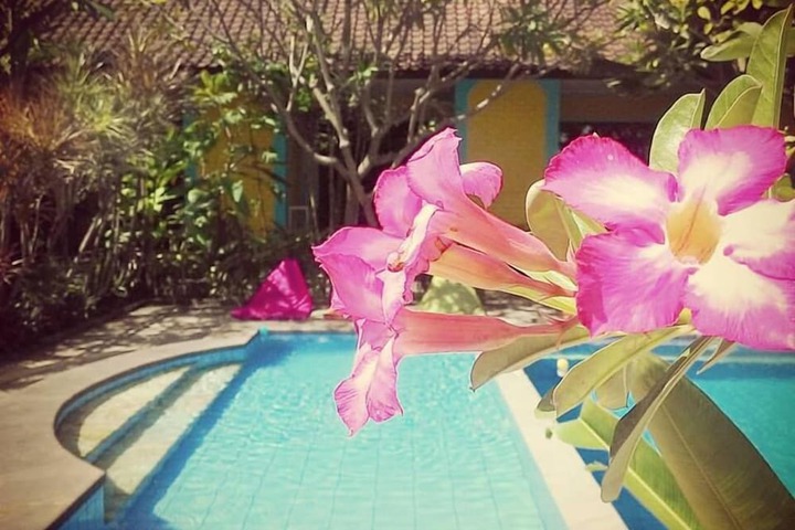 Pools & Facilities