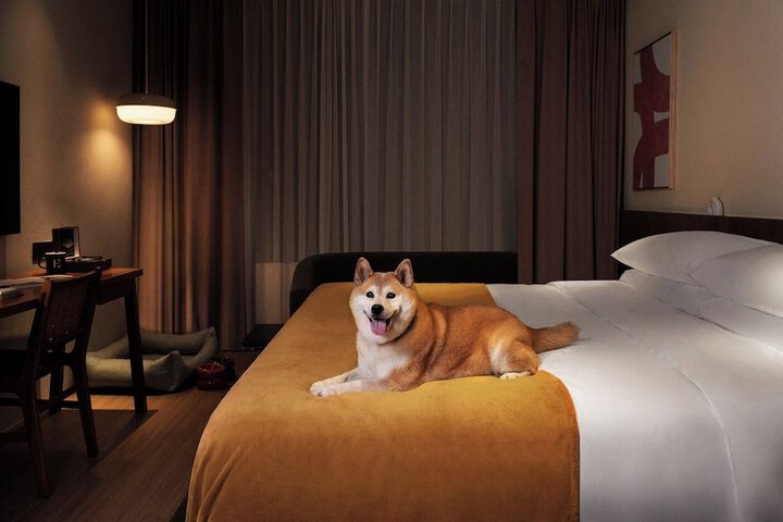 Pet Friendly 47 of 57