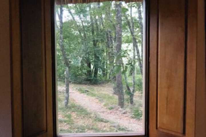 Room 2 of 31