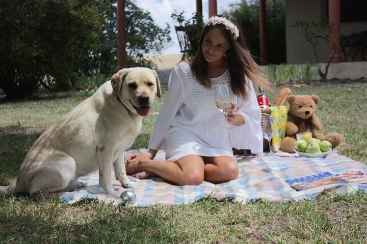 Pet Friendly 8 of 20