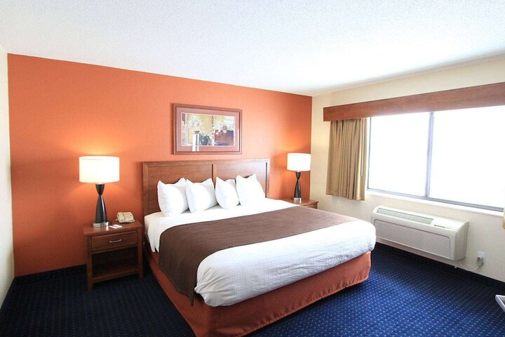 1 King Bed (3 of 19)