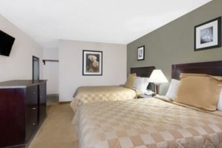Standard Suite