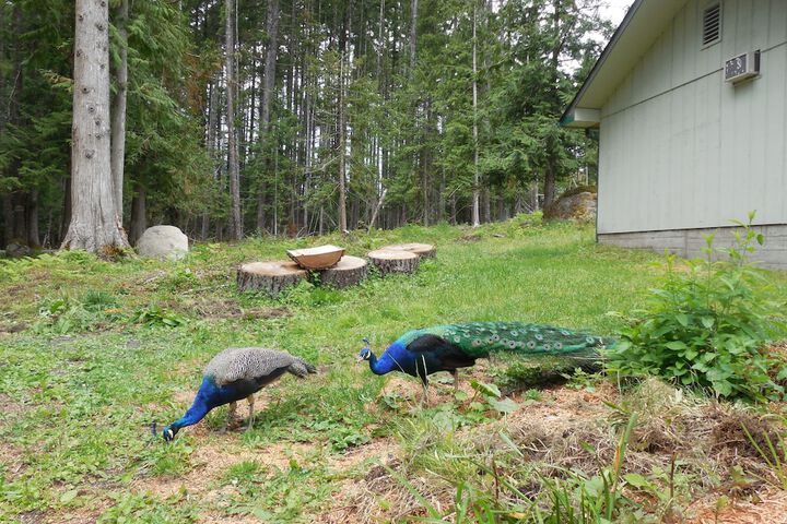 Hotel Exterior 88 of 99