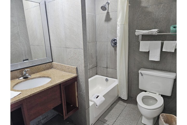 Standard Room, King or Two Doubles (2 of 7)