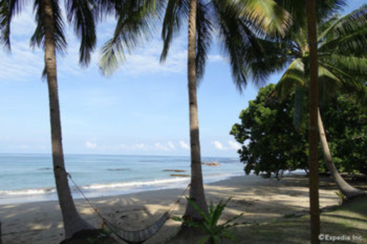 Beach 7 of 63