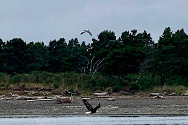 Outdoor Activities 21 of 51