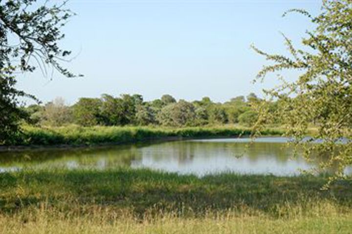 Property Grounds 16 of 19