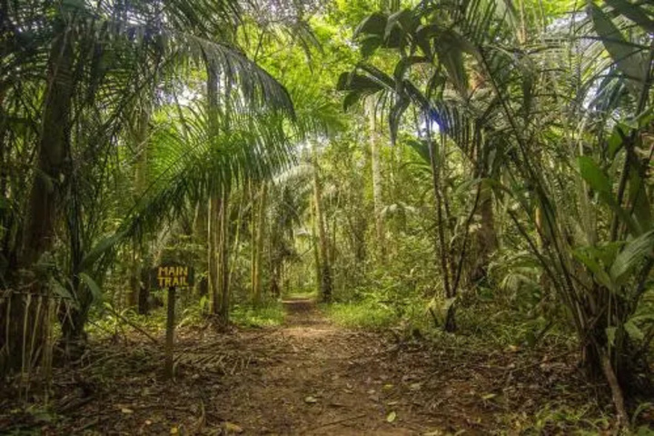 Photo of Corto Maltes Amazonia Lodge