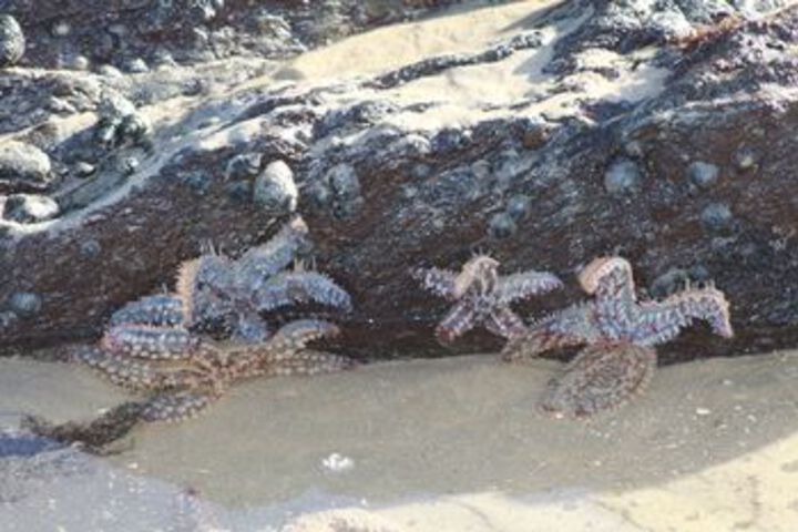 Beach 10 of 57