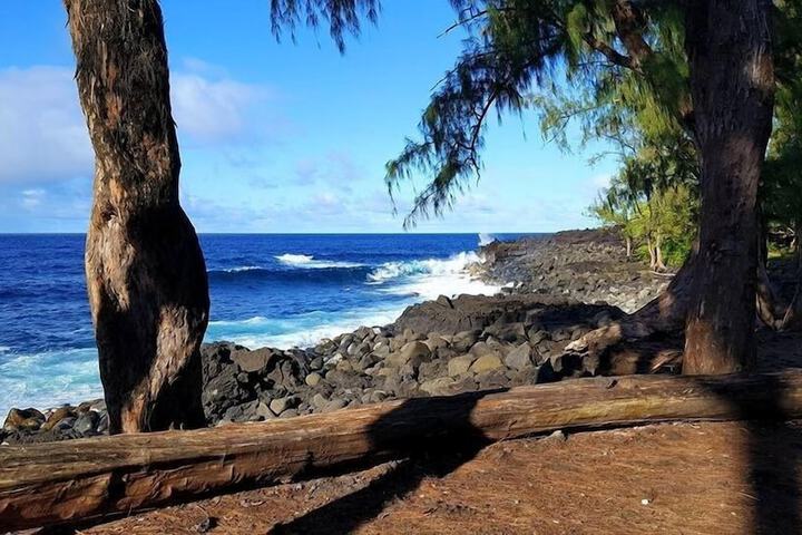 Property Grounds 29 of 42