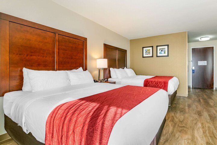 2 Queen Beds (2 of 7)