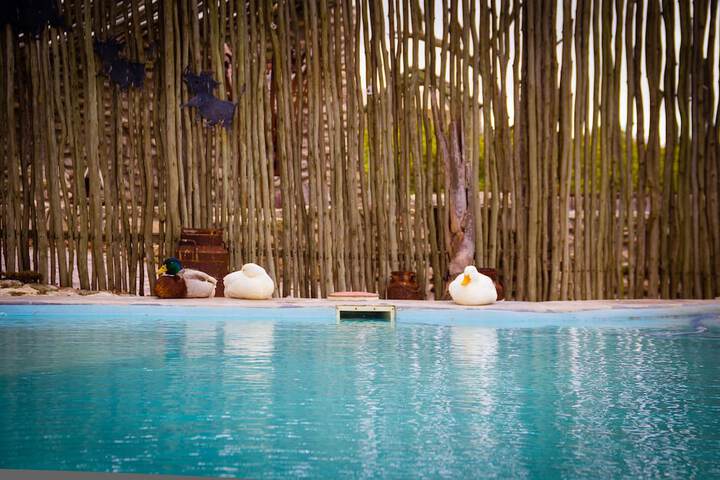 Pool 20 of 43