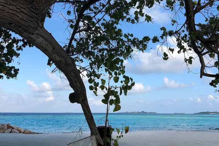 Beach 121 of 211