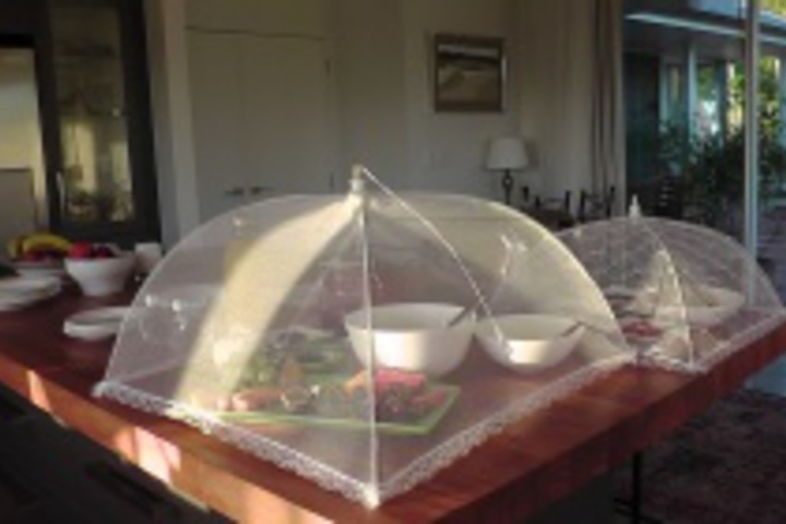 Dining 55 of 204