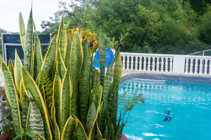 Pool 120 of 157