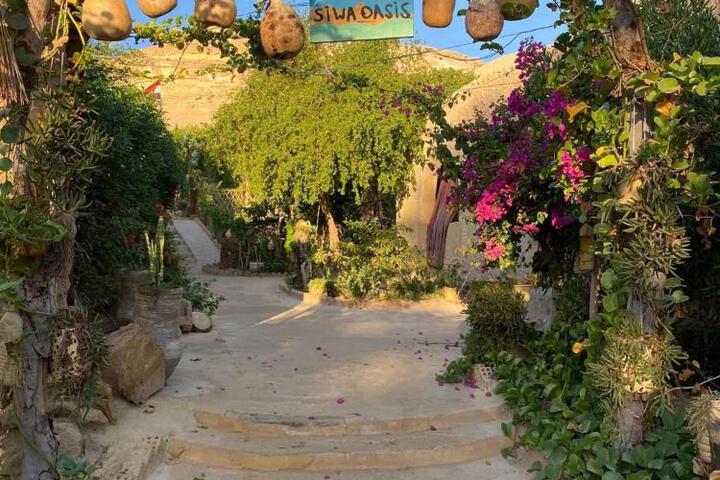 Image of Mountain Camp Ali Khaled