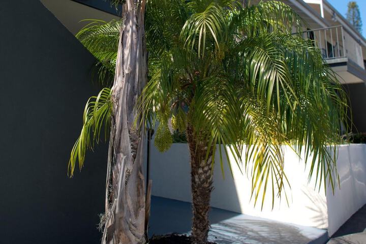 Property Grounds 33 of 46