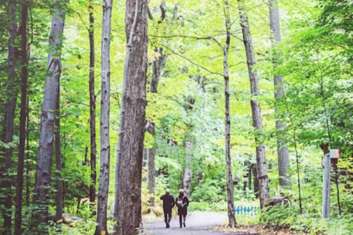 Outdoor Activities 31 of 56