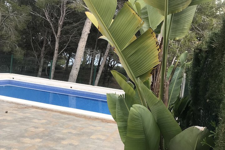 Pool 33 of 47