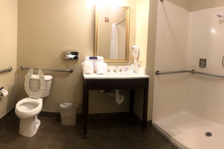 1 King Bed Suite (12 of 24)