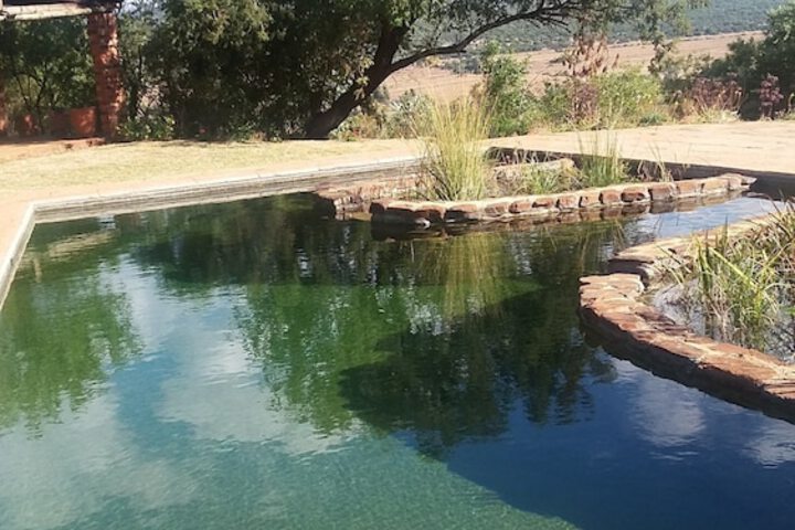 Pool 61 of 79